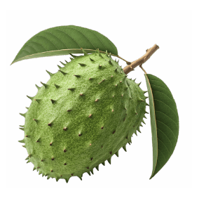 Soursop